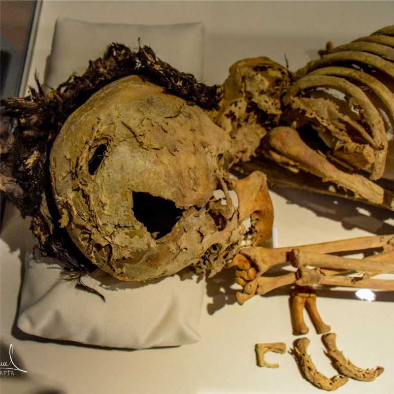 Momia encontrada en Warivilca.